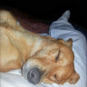 Meet your Posher, Richard